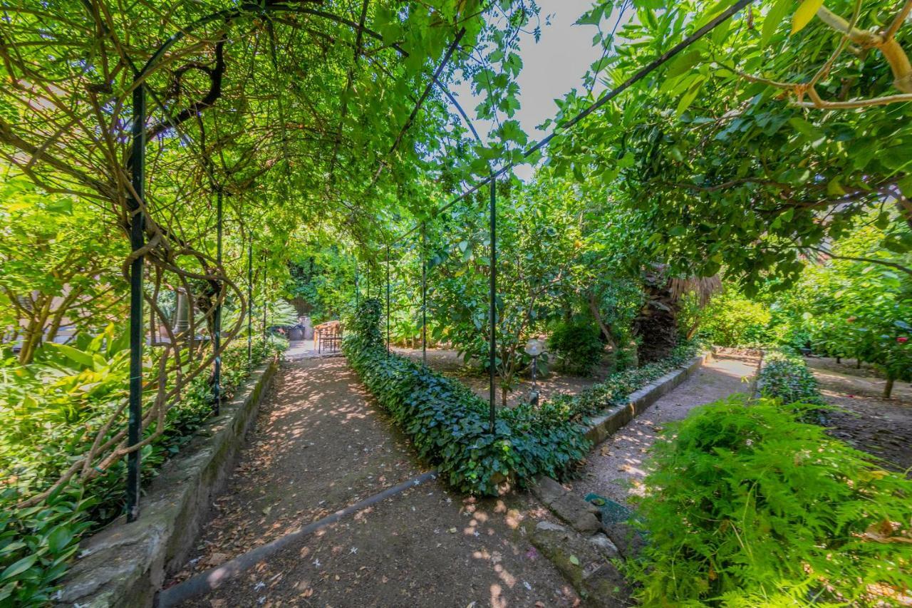 Villa Mezzarancia Palermo Bagian luar foto