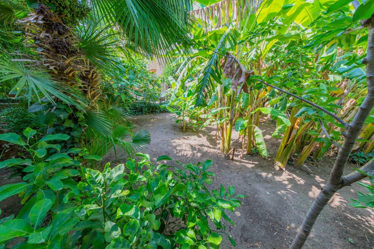 Villa Mezzarancia Palermo Bagian luar foto